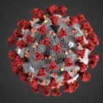 Coronavirus Outbreak: Daily Updates
